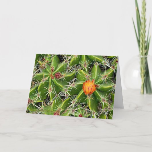 Carte Fleur Cactus - Salutation Personnaliser (Devant)