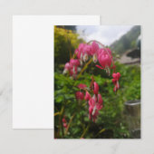 Carte fleur cardiaque saignante (Devant / Derrière)