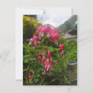 Carte fleur cardiaque saignante