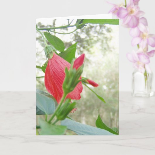 Carte Fleur Casquette et feuillage vert du Turc rouge (Orchidée)
