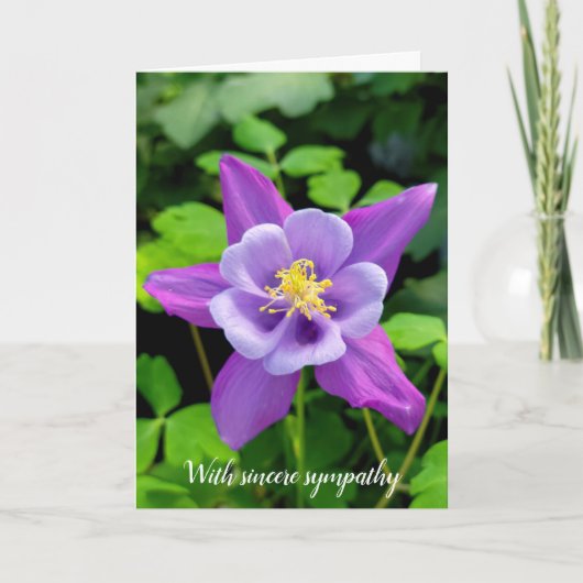 Carte Fleur Colonne violet Sympathy (Devant)