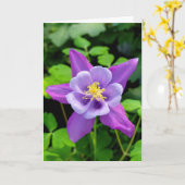Carte Fleur Colonne violet Sympathy (Fleur jaune)