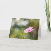Carte Fleur Cosmos Rose Fin Après-Midi Bokeh (Devant)