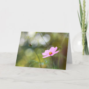 Carte Fleur Cosmos Rose Fin Après-Midi Bokeh