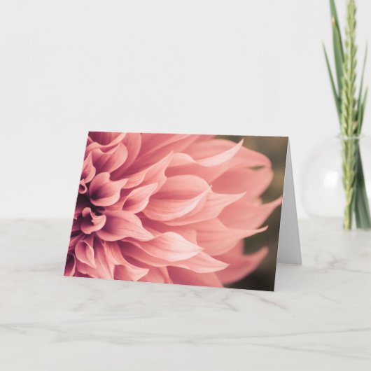 Carte Fleur Dahlia (Devant)