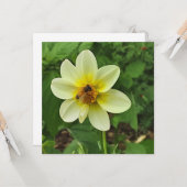 Carte Fleur Dahlia et abeille (Devant/Arrière en situation)