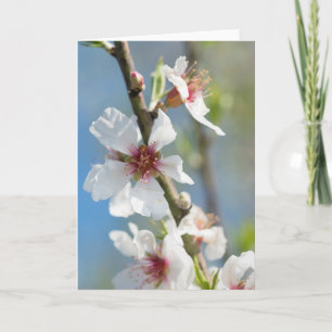 Carte Fleur d'amande