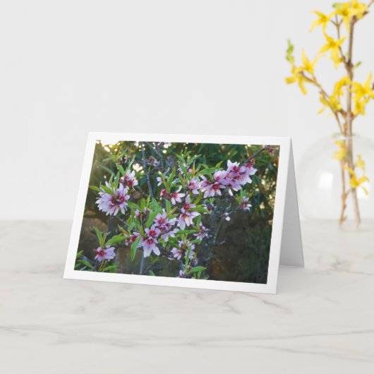 Carte Fleur d'amande (Fleur jaune)