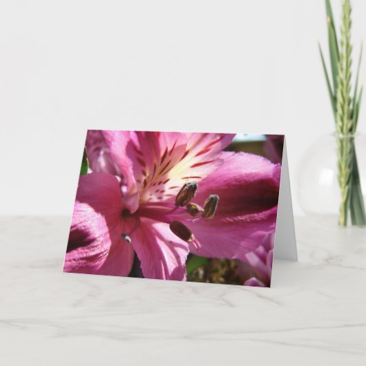 Carte Fleur dans un bouquet (Devant)