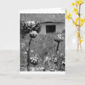 Carte Fleur d'artichaut séchée (Fleur jaune)