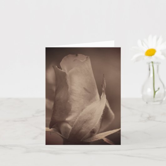 Carte Fleur de bouton de rose sépia vintage âgée Note (Petite plante)
