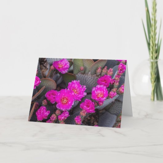 Carte Fleur de cactus rose vif | Pensant à vous sur mesu (Devant)