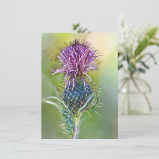 Carte Fleur de chardon (Debout devant)