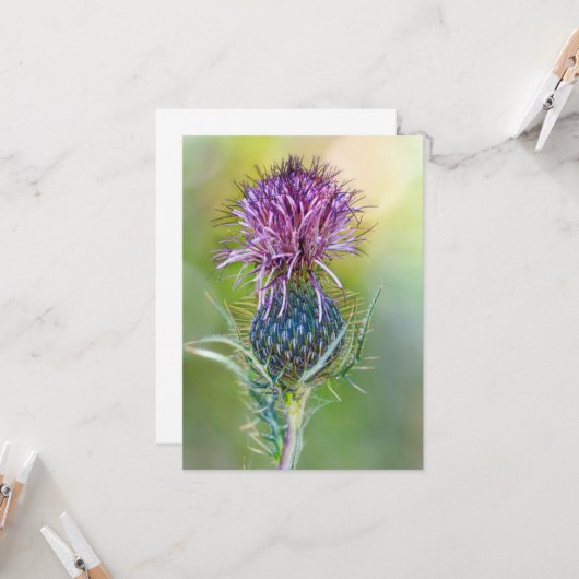 Carte Fleur de chardon (Devant/Arrière en situation)
