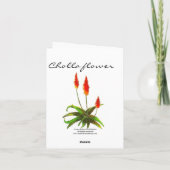 Carte Fleur de Cholla (Dos)