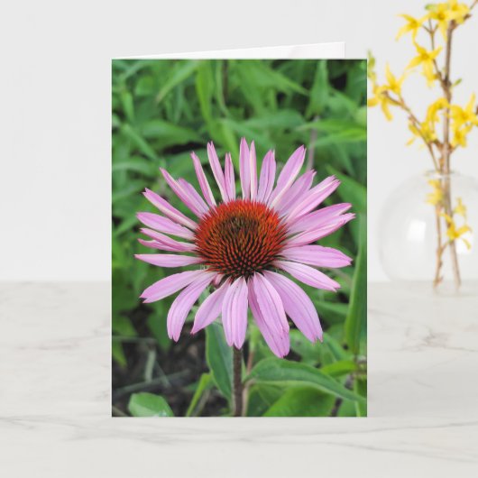 Carte Fleur de cône rose (Fleur jaune)