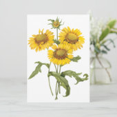 Carte Fleur de couverture Tournesol par Redoute Invitati (Debout devant)