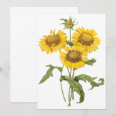 Carte Fleur de couverture Tournesol par Redoute Invitati (Devant / Derrière)