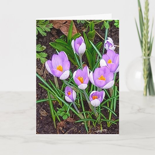 Carte Fleur de Crocus Joyeuses Pâques (Devant)
