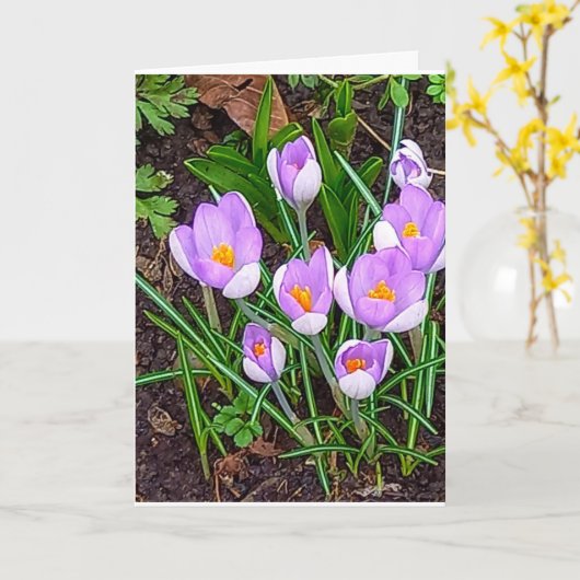 Carte Fleur de Crocus Joyeuses Pâques (Fleur jaune)