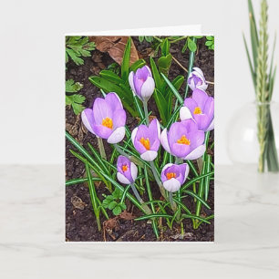 Carte Fleur de Crocus Joyeuses Pâques