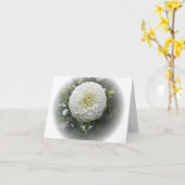 Carte Fleur de Dahlia Blanche (Fleur jaune)