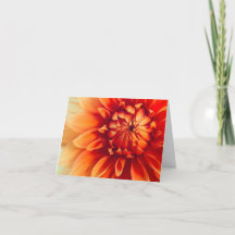 Fleur de Dahlia (Caché)