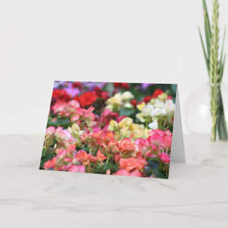 Carte Fleur de fleurs dans Ginza