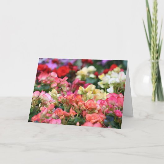 Carte Fleur de fleurs dans Ginza (Devant)
