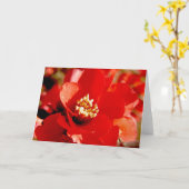 Carte Fleur de grenade (Fleur jaune)