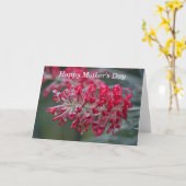 Carte fleur de grevillea (Fleur jaune)