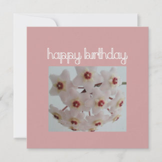 Carte Fleur de Hoya rose Anniversaire