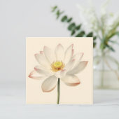 Carte Fleur de lotus blanc (Debout devant)