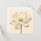 Carte Fleur de lotus blanc (Devant/Arrière en situation)