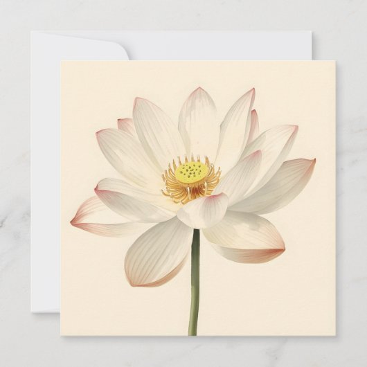 Carte Fleur de lotus blanc (Devant)