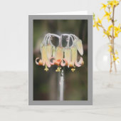 Carte Fleur de lustre (Fleur jaune)