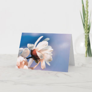 Carte Fleur de magnolia printanière