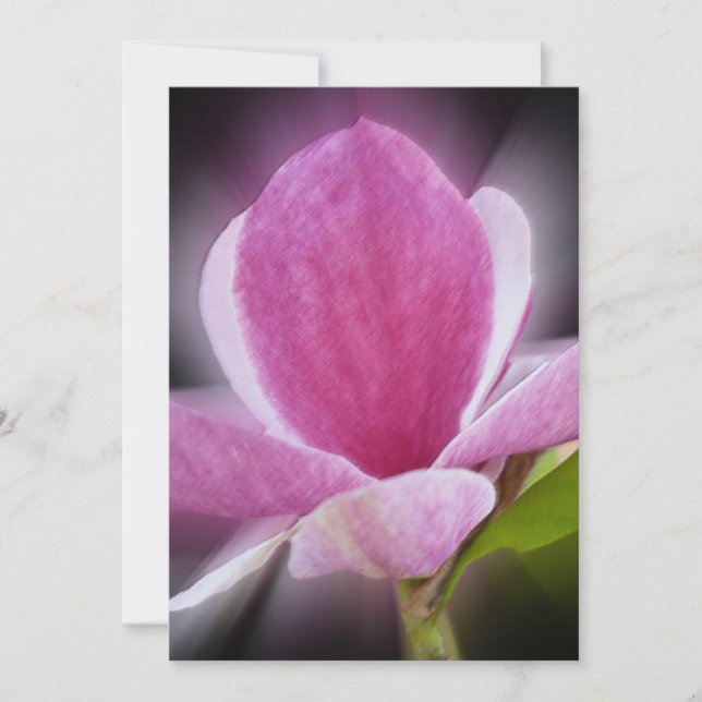 Carte fleur de magnolia rose (Devant)