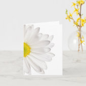 Carte Fleur de marguerite blanche Arrière - plan de marg (Fleur jaune)