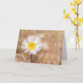 Carte Fleur de marguerite blanche sauvage toute occasion (Fleur jaune)