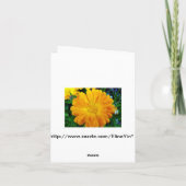 Carte fleur de marguerite jaune (Dos)