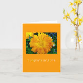 Carte fleur de marguerite jaune (Fleur jaune)