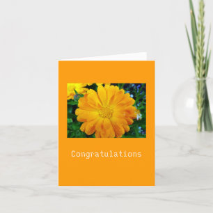 Carte fleur de marguerite jaune
