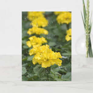 Carte fleur de marigold jaune et pluie