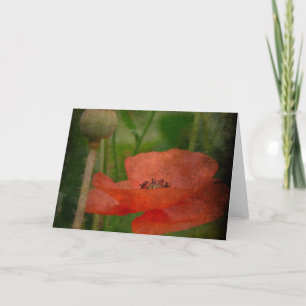 Carte Fleur de pavot