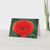 Carte Fleur de pavot et signification (Dos)