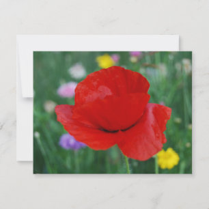 Carte Fleur de pavot et signification