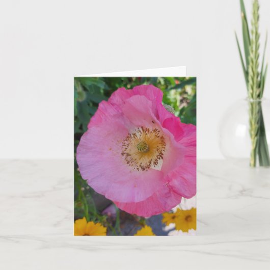 Carte Fleur de pavot rose en été (Devant)