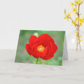 Carte Fleur de pin rouge (Fleur jaune)