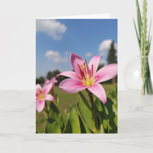 Carte Fleur de Rose Thé (Devant)